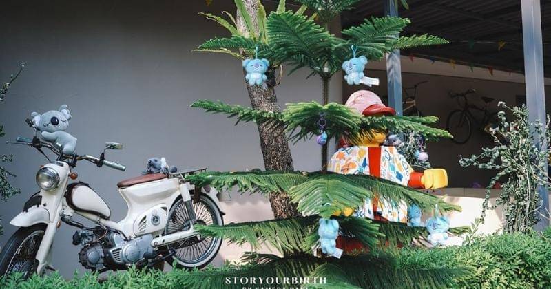 Instagram.com/nadinelist